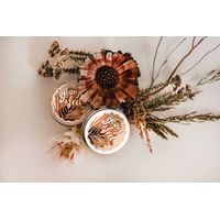 Young & Free Deodorant - Natural 